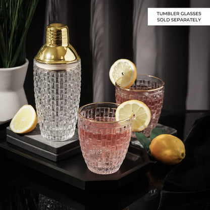 Elegant Glass Bar Shaker Set